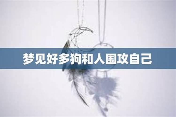 女人梦到好多狗围攻