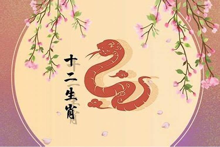 属蛇和属狗结婚年月