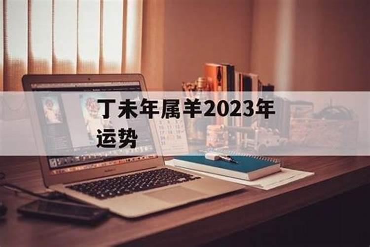 丁未羊人2023年运势