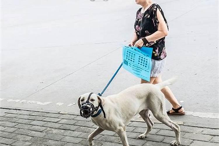 男牛女龙婚姻状况