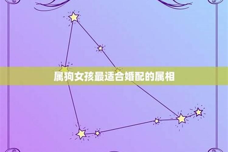 梦见蛇追着跑是什么预兆周公解梦女性