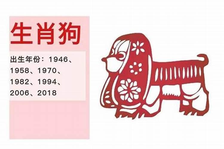 鼠年后是什么生肖