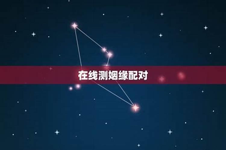 属兔的今年运势怎么样2024年结婚