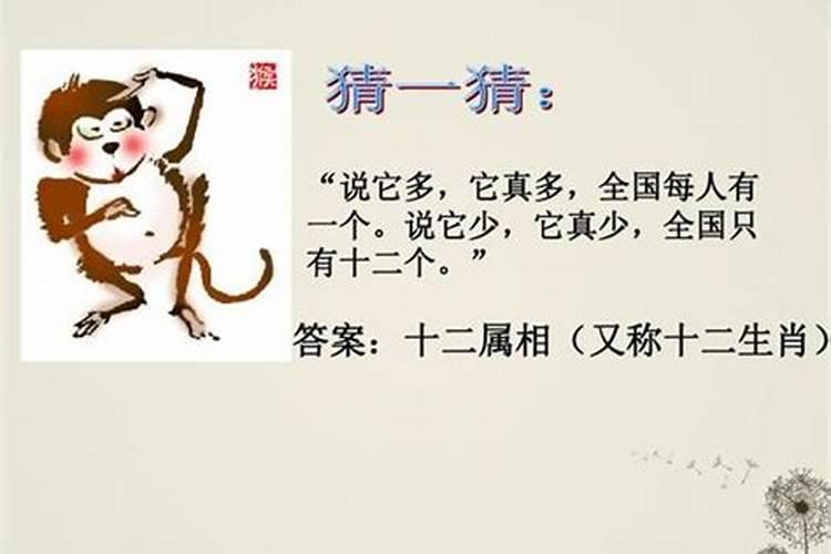 猴人2023年运势如何