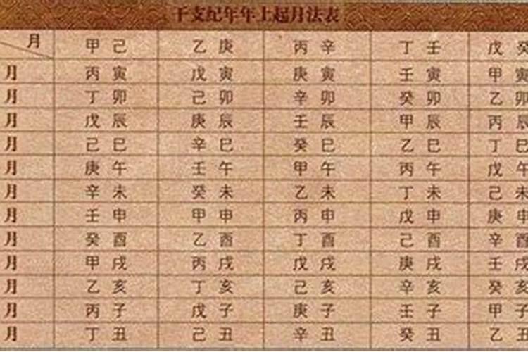 八字里的壬辰什么意思