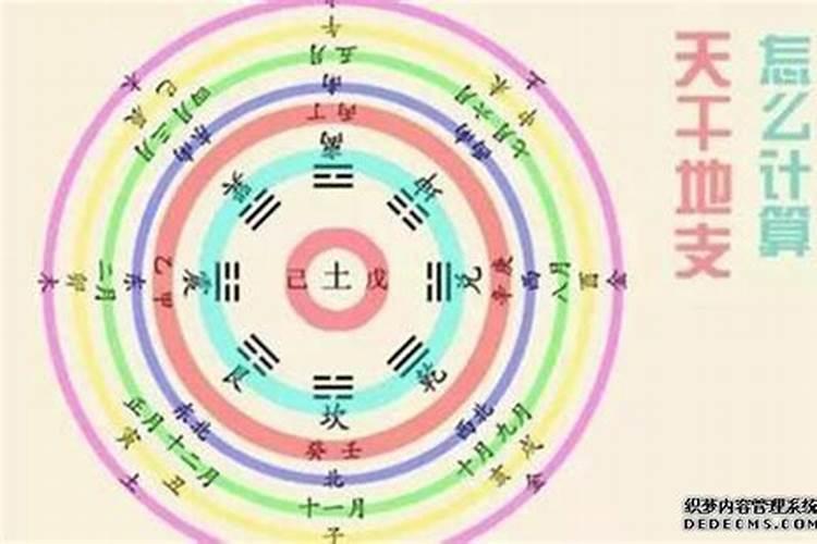 八字里的壬辰什么意思