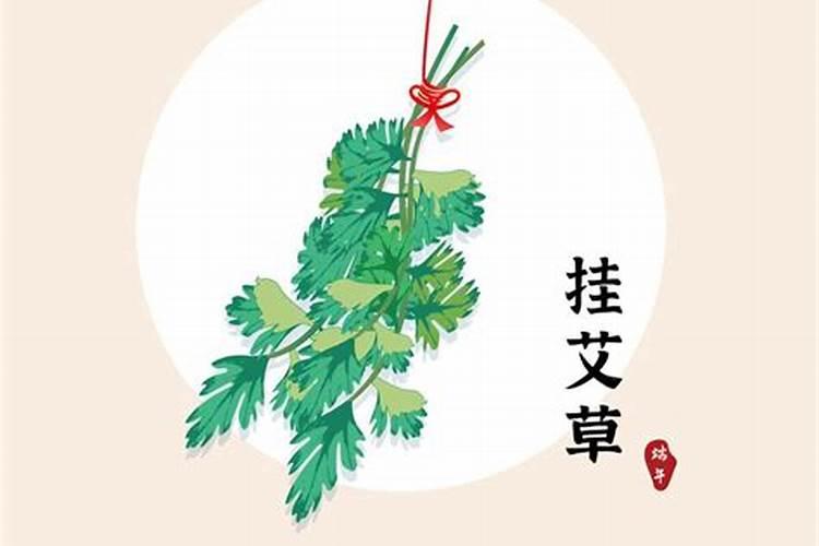 端午节挂艾草寓意着什么