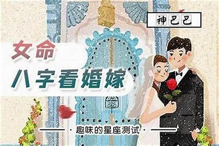 属猪女与什么属相最配婚姻最好