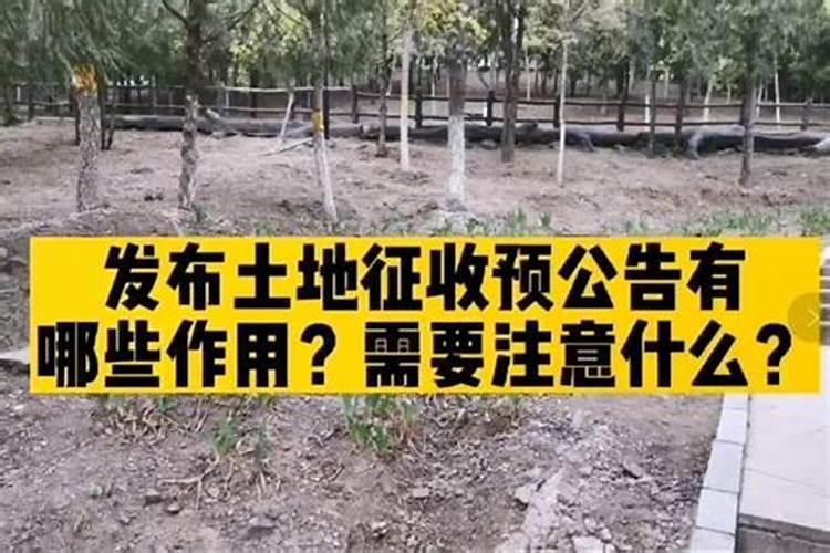 梦见老家地被征收