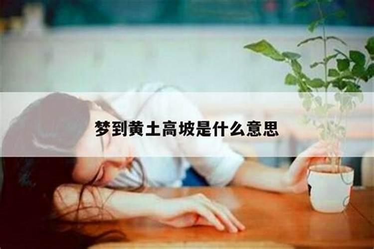 摩羯座和白羊座在一起会怎么样