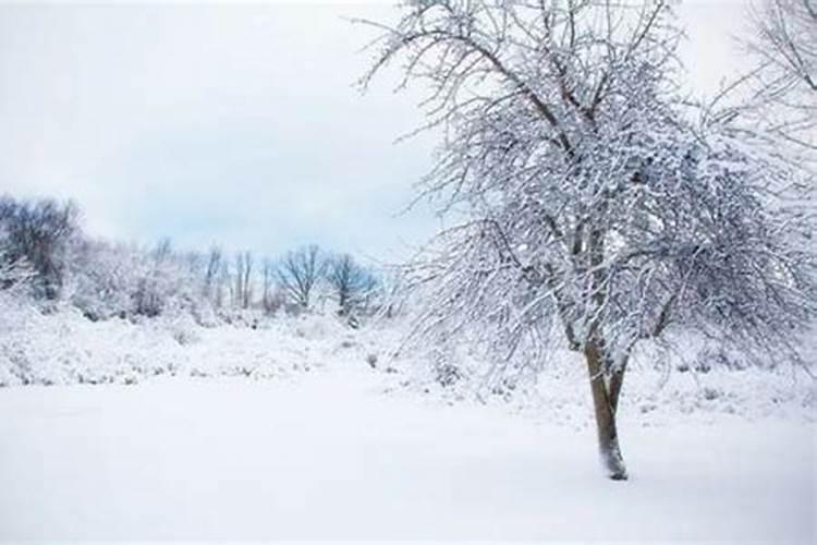 梦到在学校上学下雪了