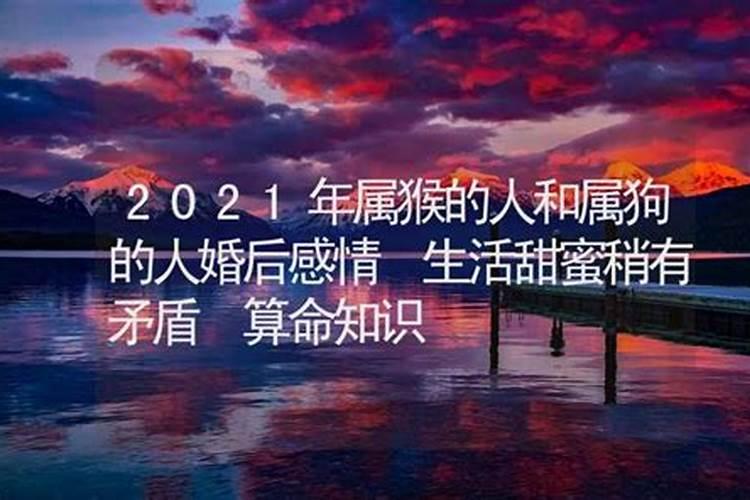 2021年属猴的感情方面怎么样