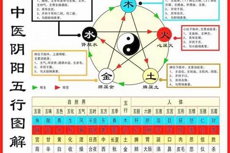 中医说的五行平衡什么意思