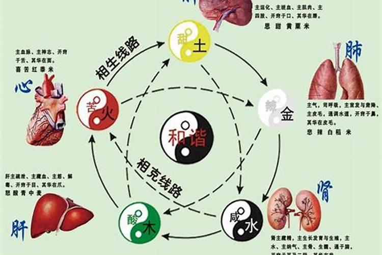 五行在中医学中的应用