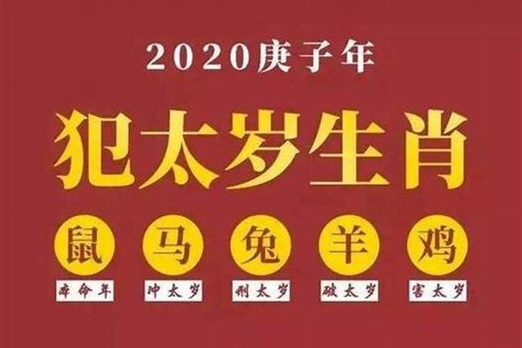 2021谢太岁流程