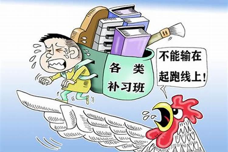 梦见鸡怀孕生娃是什么