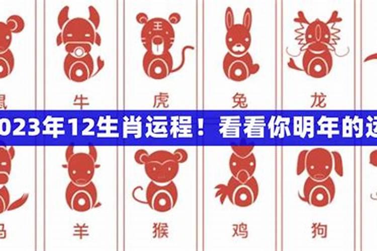 生肖兔2023年运势新浪