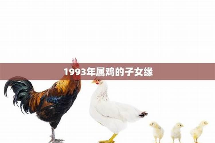 1993年属鸡什么时候会有孩子