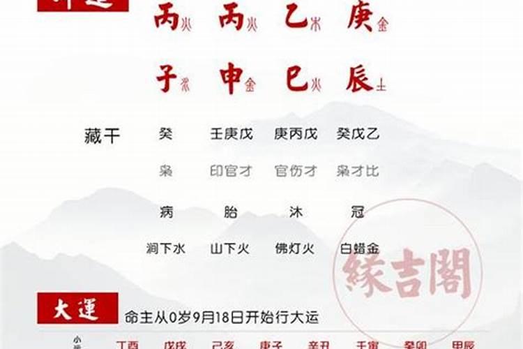 己亥日柱的富贵八字