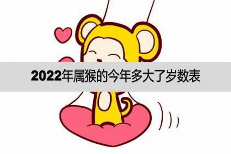 属猴今年运势怎么样2022岁