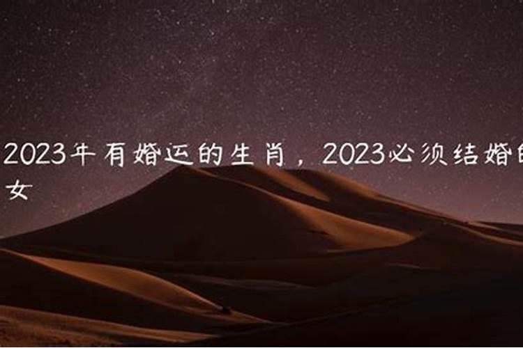 2022有婚运的生肖