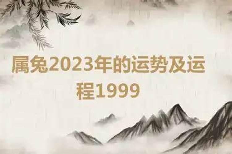 1999年属兔男孩最佳婚姻