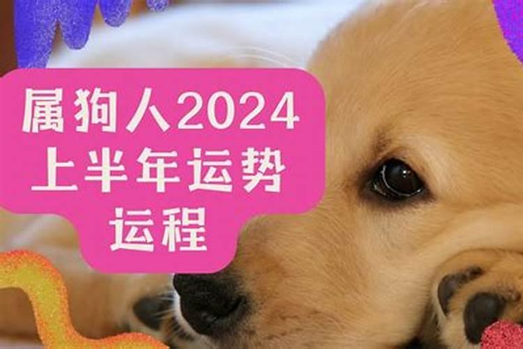 2021狗的下半年运势