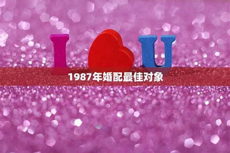 1984年婚配最佳对象