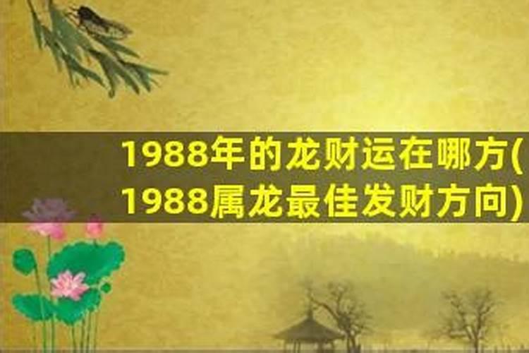 88年属龙发财方位