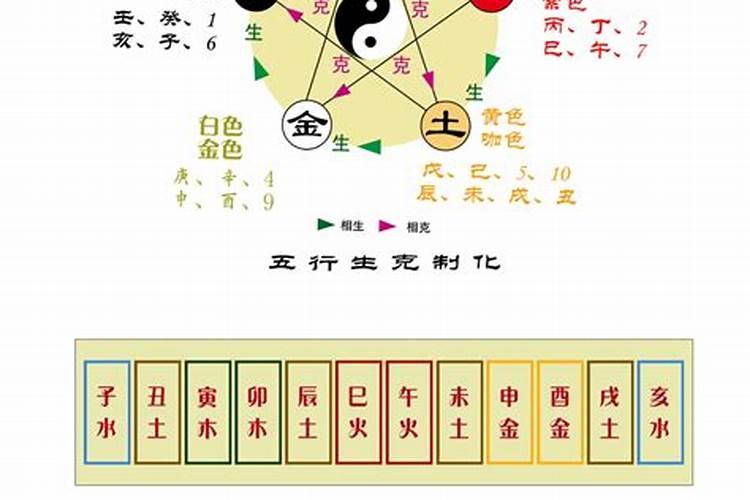 数字跟人的五行财运