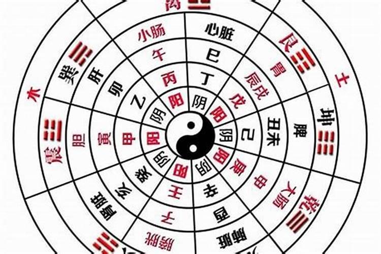 数字跟人的五行财运