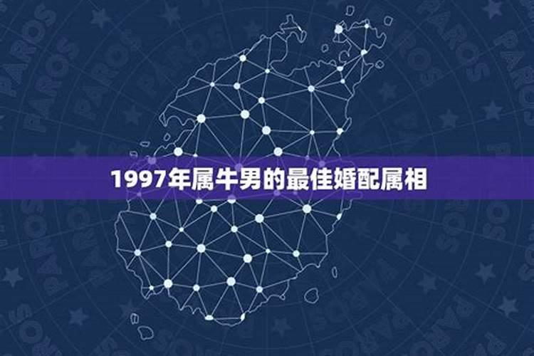 1997年属牛男的最佳婚配属相是什么