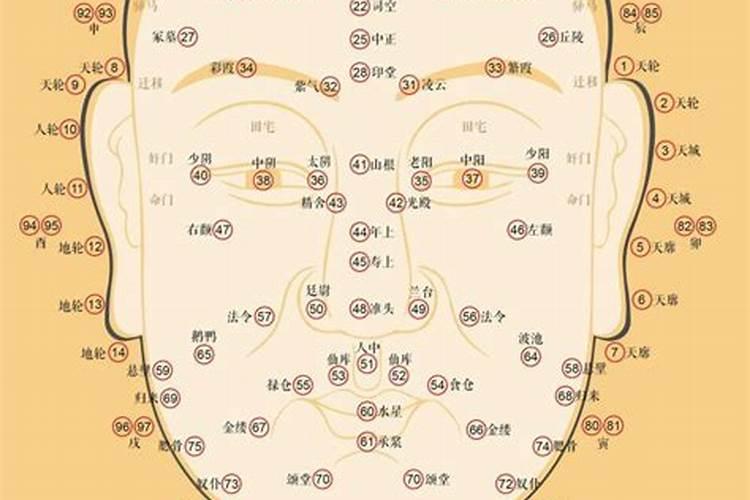 面相最准流年法