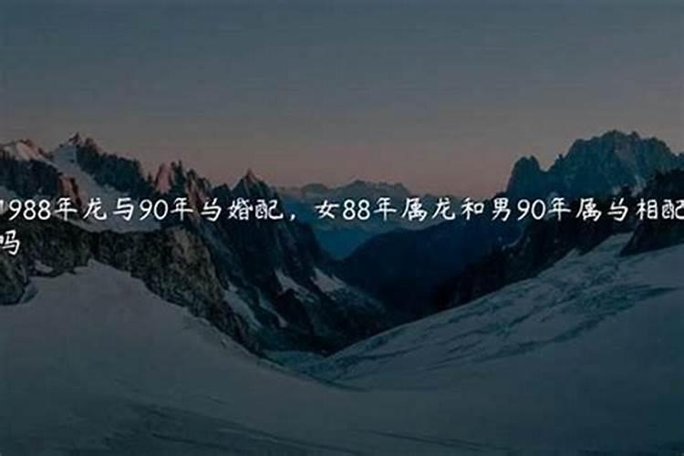 1990年属马女和1988年属龙男八字相克吗