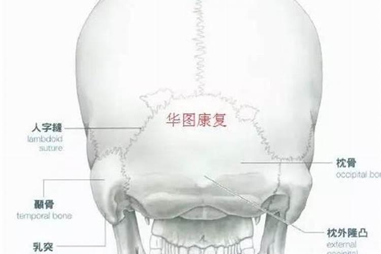 1946年腊月十九阳历是多少号