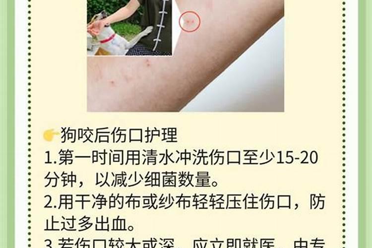 孕妇梦见被小狗咬了手,没有出血