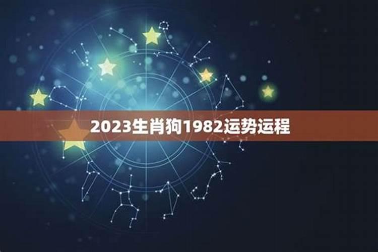 1982年狗2023年运势男