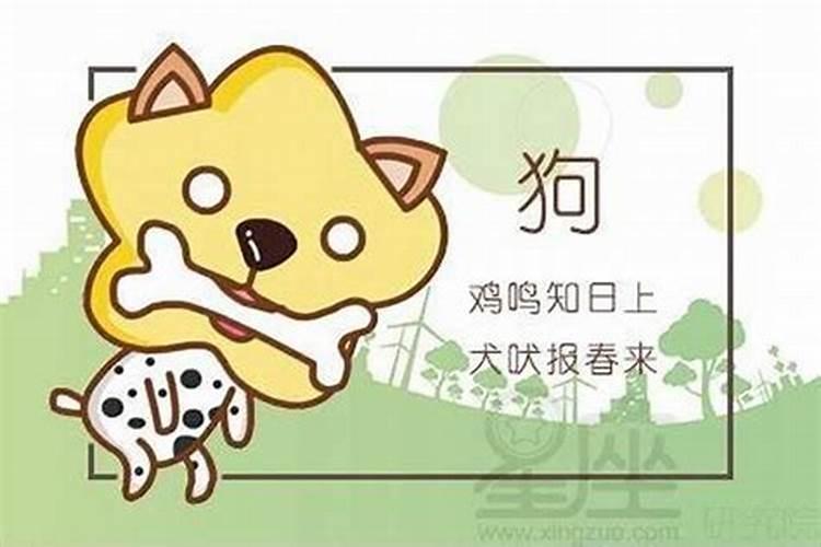 生肖蛇与狗合不合