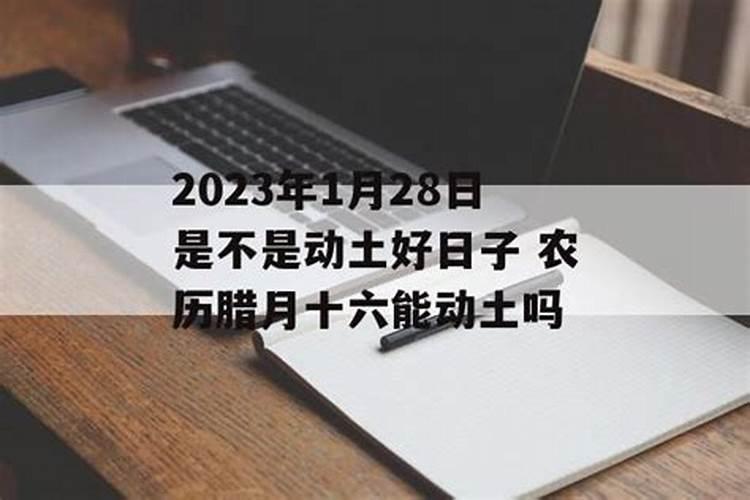 2023年腊月几日动土好