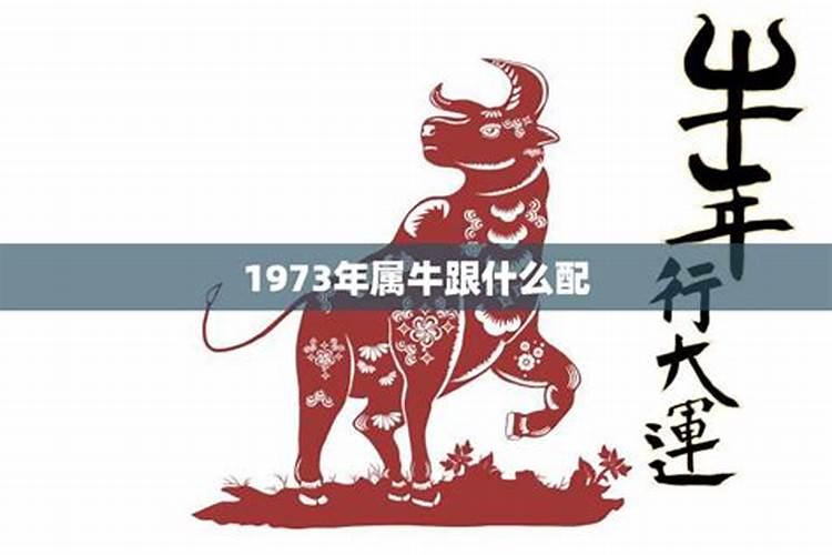 1973年属牛和什么相配