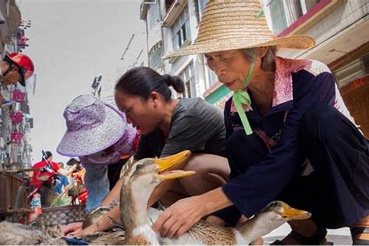 中元节祭拜用鸭