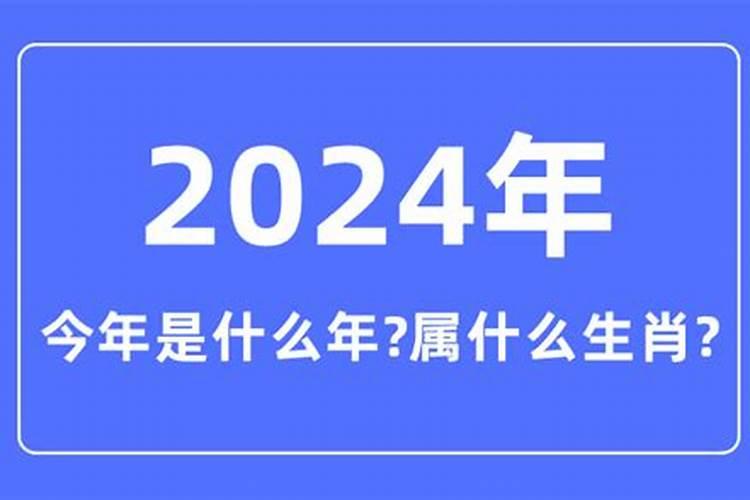 明年什么年属什么2020