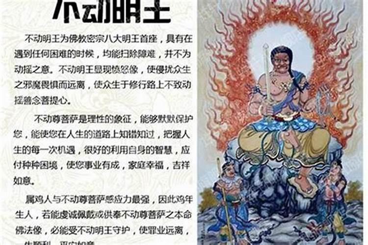 生肖鸡守护神本命佛怎么带灵验