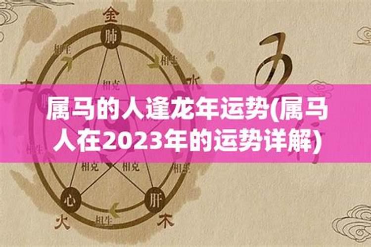 属马人2023年多大