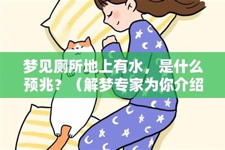 跟外国人合婚看属相吗女生