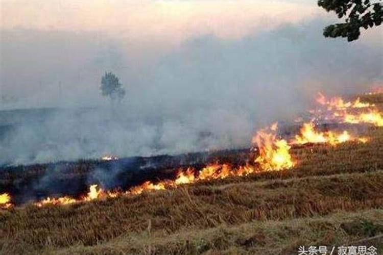 梦见坟地里有死人好不好