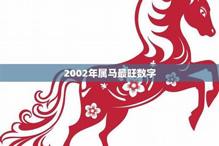 2002年生肖马2021年运势年运程