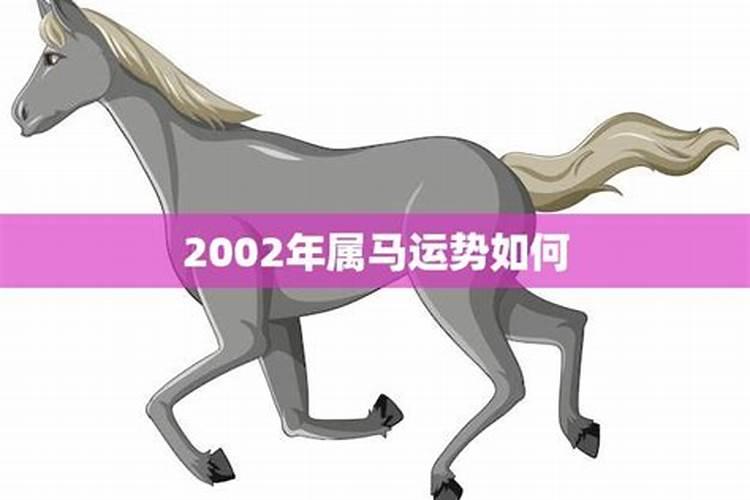 2002年生肖马2021年运势年运程