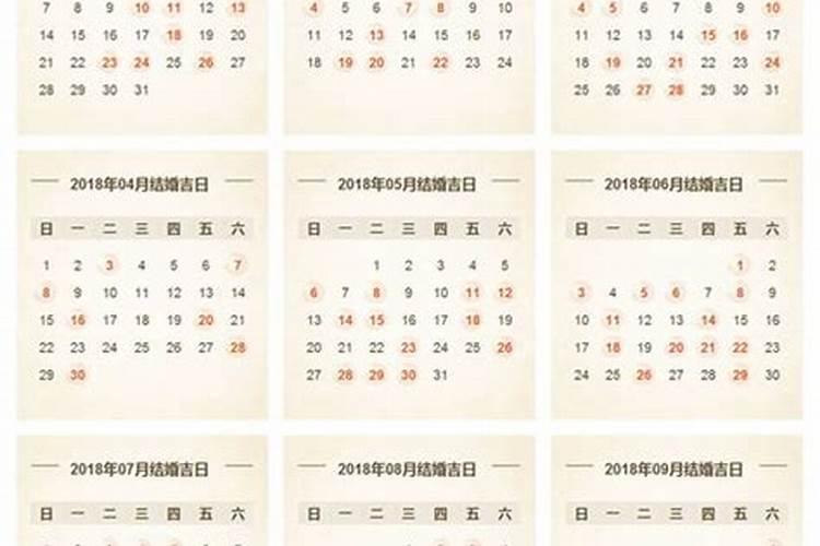 2019年农历3月15日出生的宝宝命运