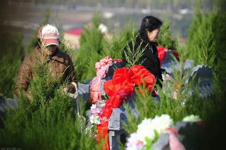 鹧鸪天寒衣节祭祖